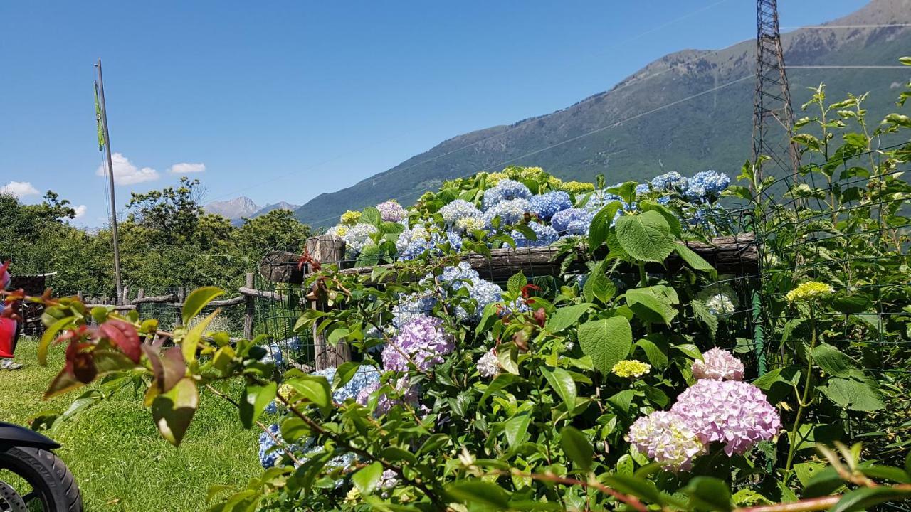 Agriturismo Volpe Golosa Morbegno Esterno foto